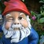 Gnome Snatcher