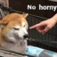 SHIBE