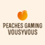 vousyvous
