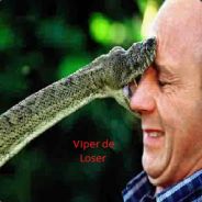 Viper De Loser