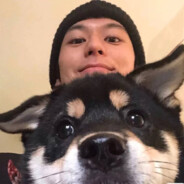 錦钰丶