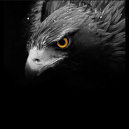 koba - steam id 76561199856998327