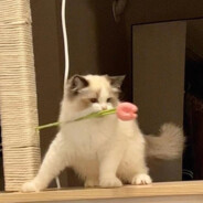 我等风雪又一年