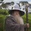 gandalf the grey