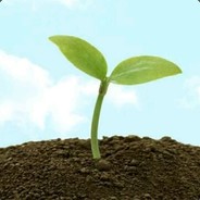 我子弹都打完了，你到底是什么甲啊？