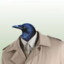 Three Crows in a Trench-coat