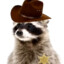 Raccoon Deputy