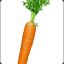 Carrot