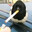 MaxDaBrd's Avatar