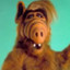 ALF