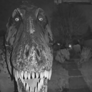 пупочный пробел д