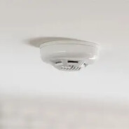 Cheap Chinese Ceiling Bird