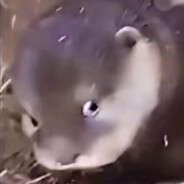 我的枪法超乎你的想象