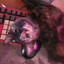 DiamondWoof
