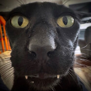 JPEG's avatar