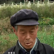 爱偷井盖的河南胡老汉