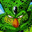 diogenetics's Avatar