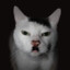 MEAWWWW