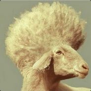 Uohcnam avatar