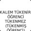 TÜKENİR KALEM