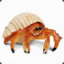 Little_Crab