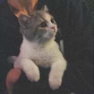 半夜三更悄悄去厕所调戏绝美蠕动小奶蛆