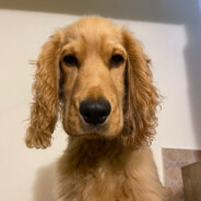 DREKAVAC - steam id 76561199106894834