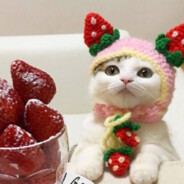 整点好吃的薯条