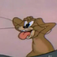 其实我也没有上过学