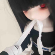 猫猫卡