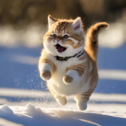 奇奇怪怪不得尔