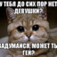 relantii 240km klmp.ru