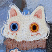 养喵喵的小君君