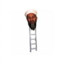 Osama been laggin