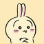 Usagi