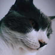 Ajax