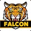 Falcon  CSGORuffles.pl
