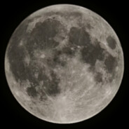 她的皎月闻越香