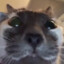 GoldenPotto's avatar