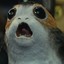 Porg