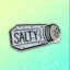 SG虎SALTY