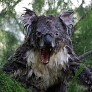 THIS IS KOALA!!!!!!!!!!!!!