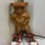 Lingangulixxx