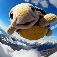 turtle turbulence