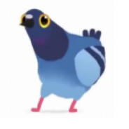 UsualPigeon