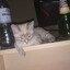 dj spanish fly's avatar