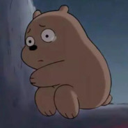 棕熊什么都不知道