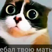 lamukkkkkk - steam id 76561199574954622