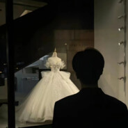 爱意随风起 风止意难平