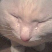 kek - steam id 76561198313756212